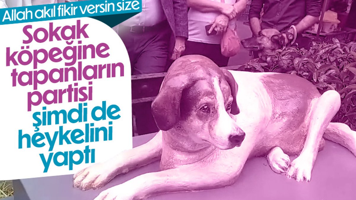 CHP'li Şişli Belediyesi sokak köpeğinin heykelini dikti