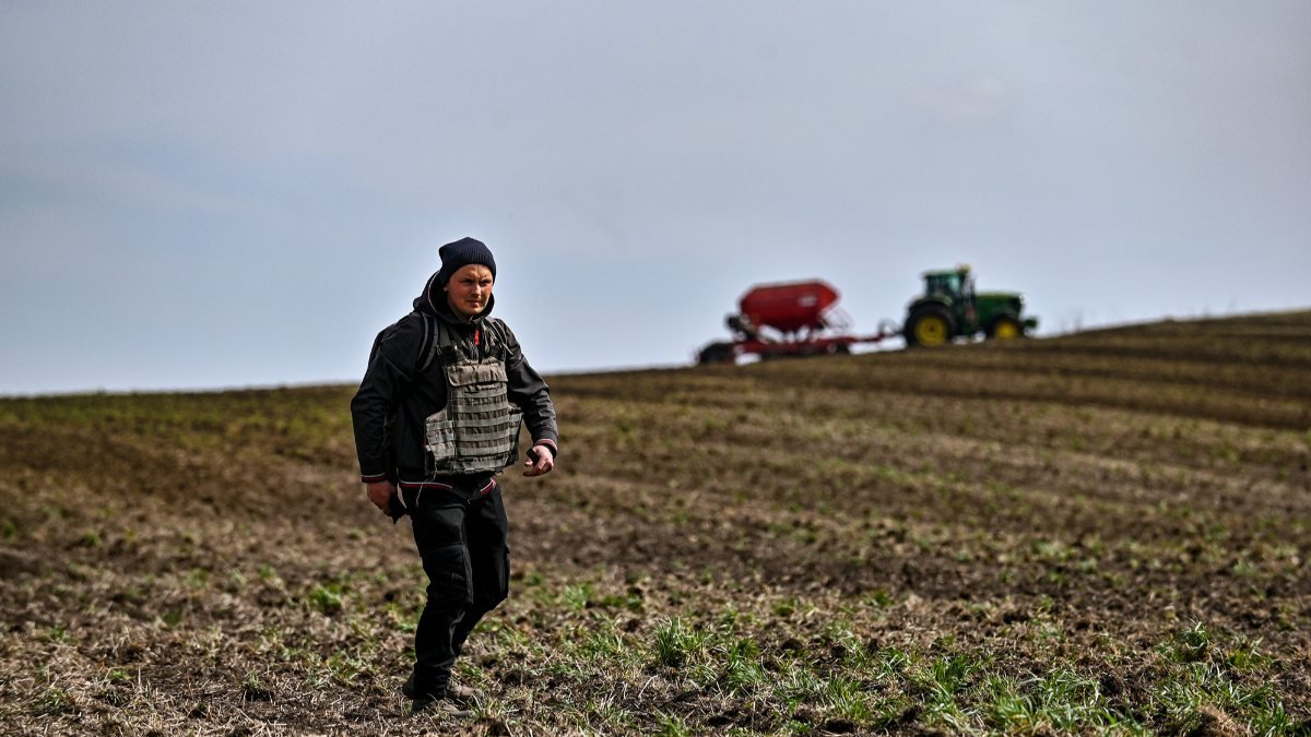 Ukrayna 2,4 milyon hektarlık kış mahsulünü hasat edemeyecek