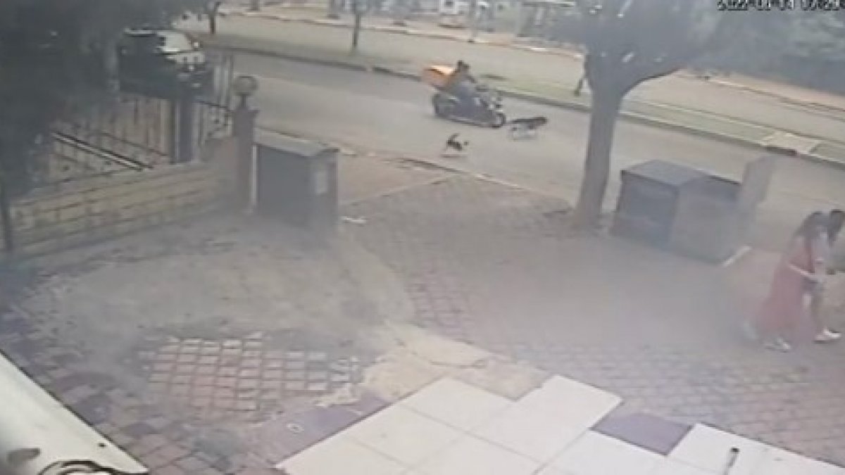 Antalya'da kediden kaçan köpeğe motosiklet çarptı