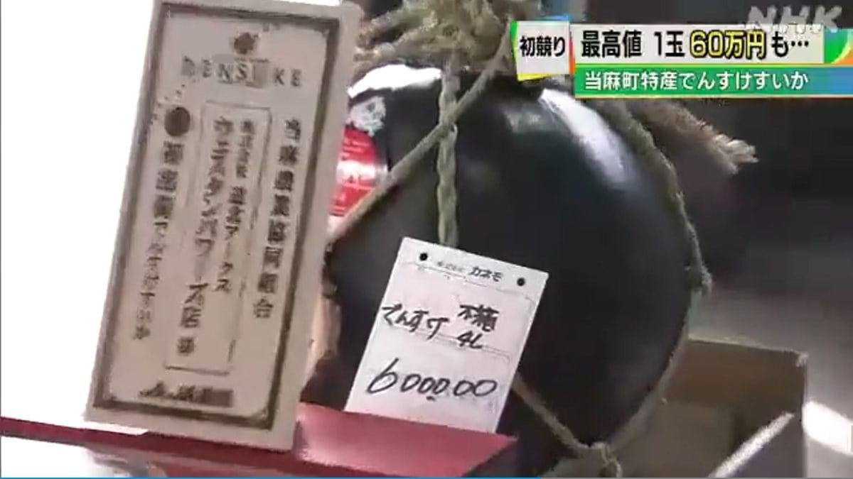 Japonya'ya özgü karpuz, 4 bin 500 dolara satıldı
