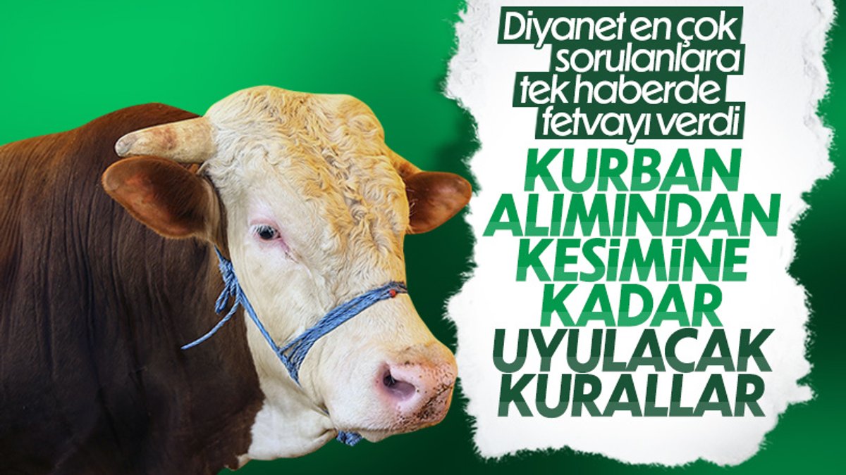 Kurban ibadeti ile ilgili dikkat edilmesi gerekenler