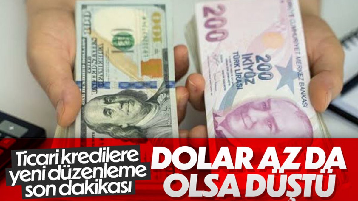 BDDK'nın kararı sonrası döviz ve altında düşüş meydana geldi