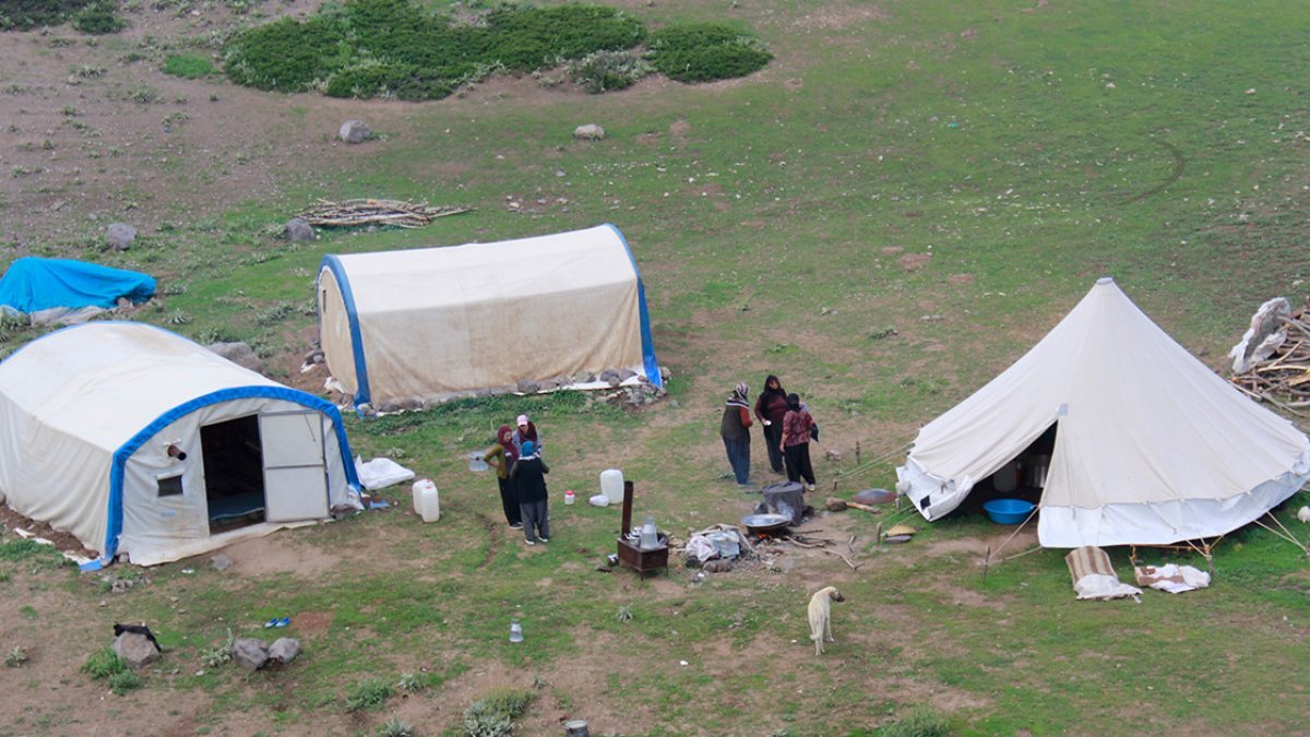 Tunceli'de huzura kavuşan yaylalar göçerlerin hizmetinde