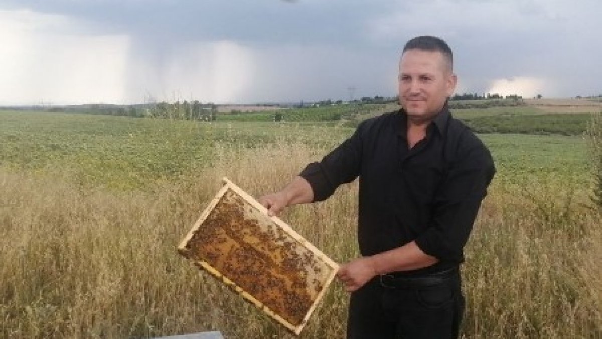 Adana'da bir kişi arı kovanlarını çalan hırsıza sosyal medyadan çağrı yaptı