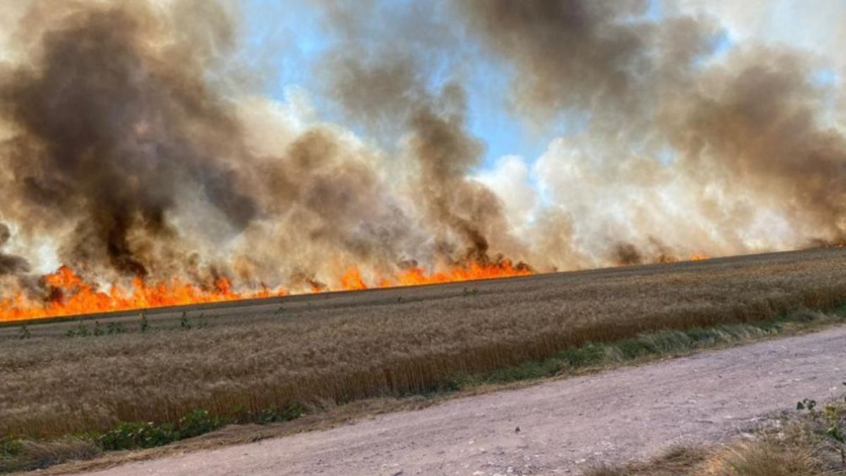 İstanbul-Tekirdağ sınırında 500 dönümlük buğday yandı