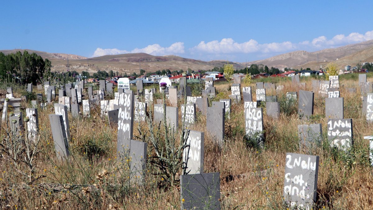 Van’dan ülkeye girmeye çalışan göçmenler: 255’inin isimsiz mezarı var