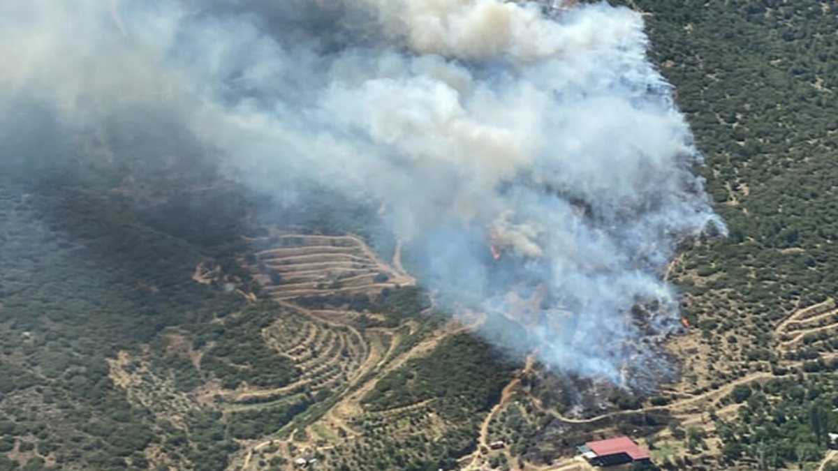 İzmir'in iki farklı bölgesinde orman yangını