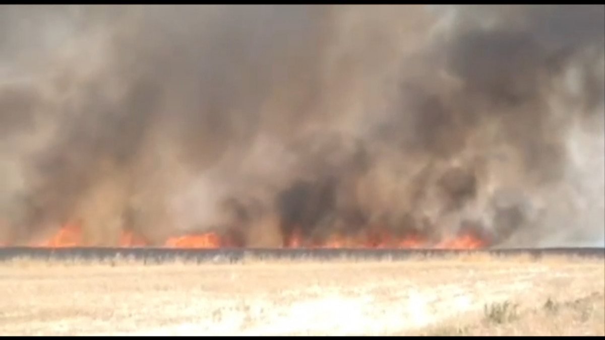 Diyarbakır'da, 220 dönüm buğday ve arpa ekili alan kül oldu