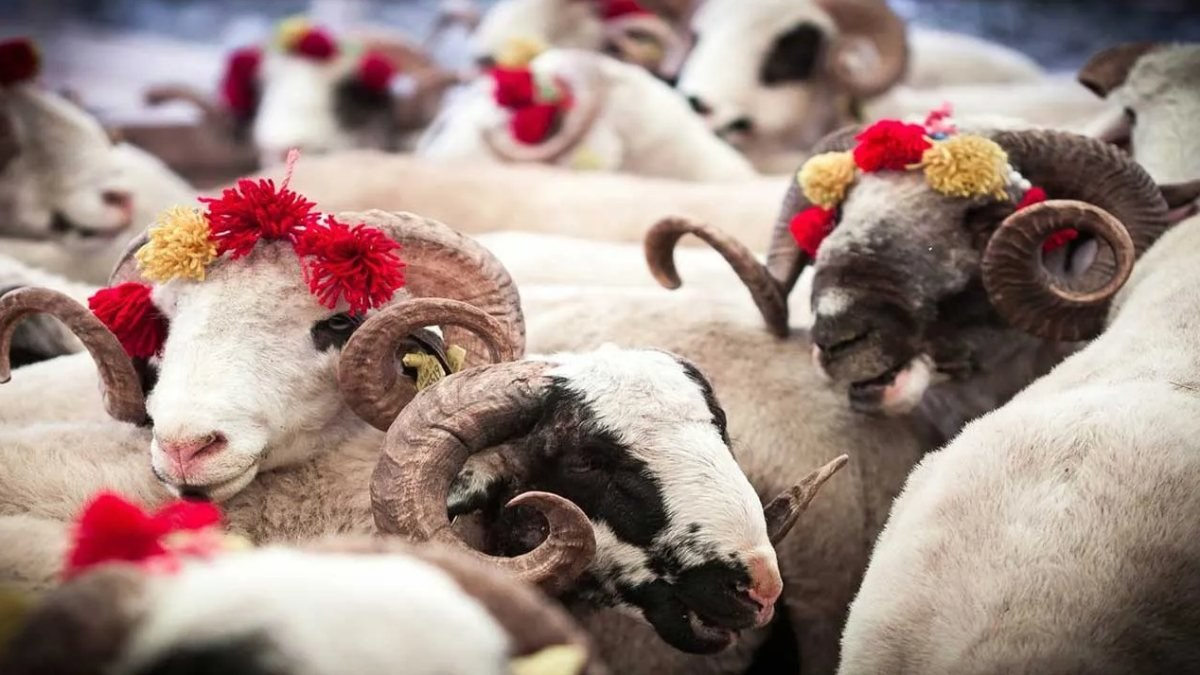 Kurban Bayramı'nın (4.) son günü kurban kesilir mi, caiz mi?