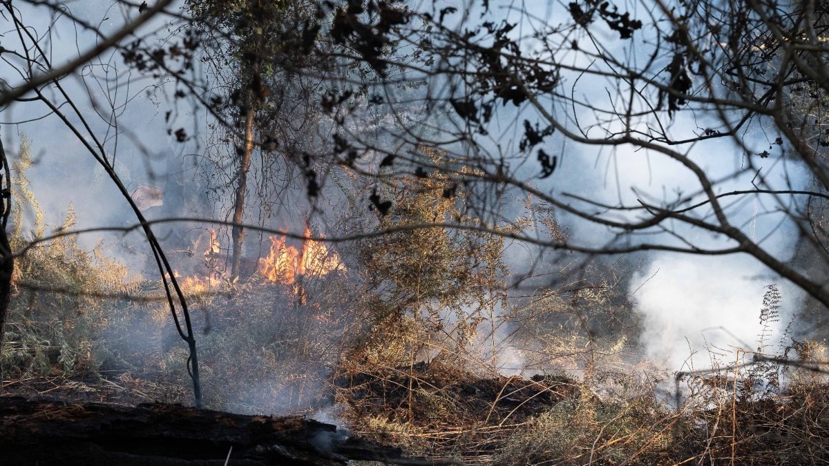 Fransa’da orman yangınları yaklaşık 4 bin hektarı kül etti