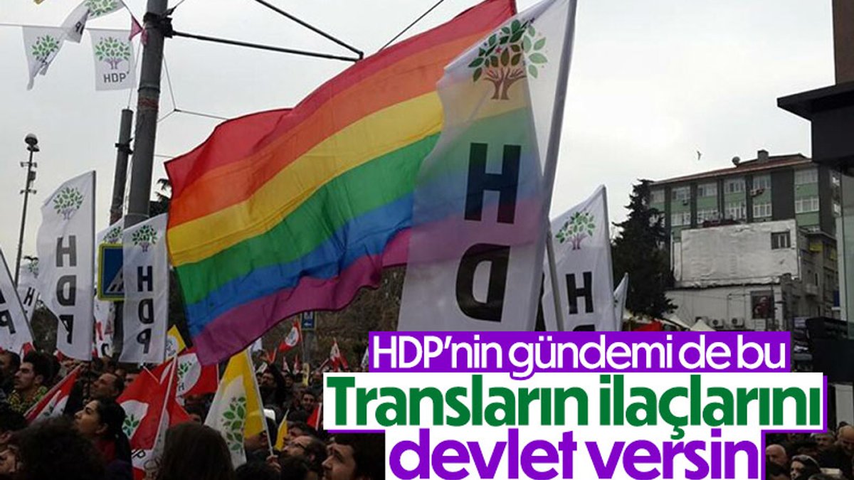 HDP'li vekil Züleyha Gülüm, transların hormon ilaçlarına dikkat çekti