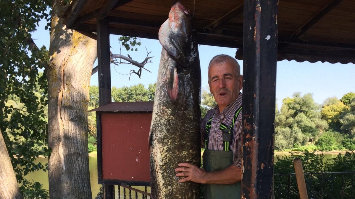Edirne’de 1 metre 80 santimetrelik balık yakaladı