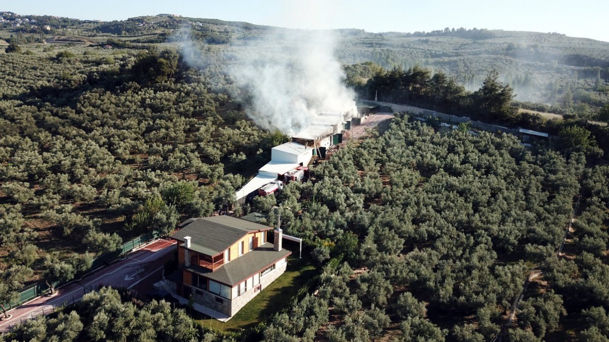Bursa'da kaynak makinesinden sıçrayan kıvılcım çiftliği yaktı