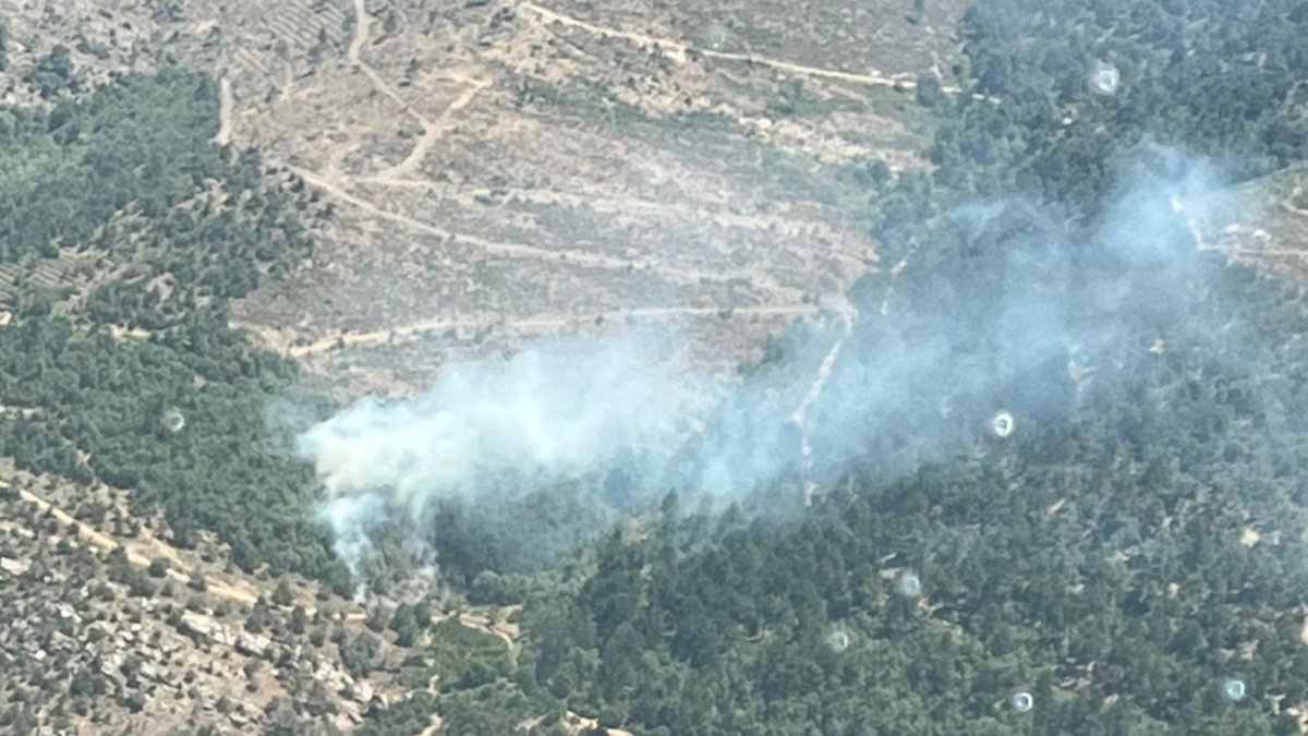 İzmir'de ormanlık alanda yangın çıktı