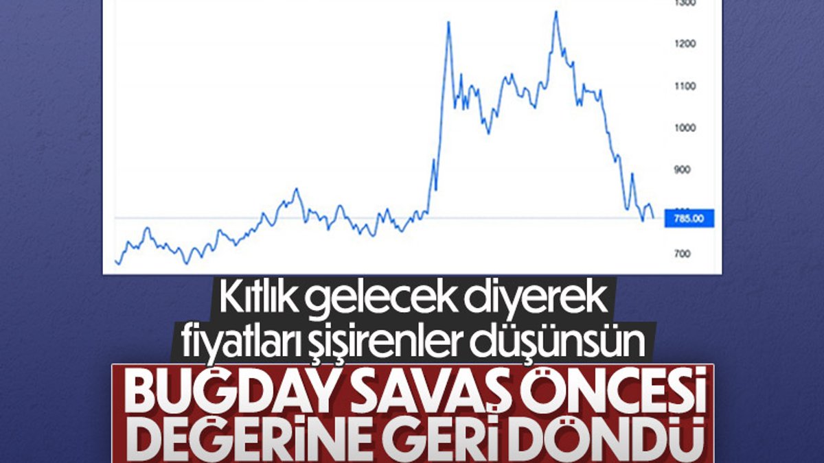 İstanbul'daki anlaşmanın ardından buğday fiyatları düştü