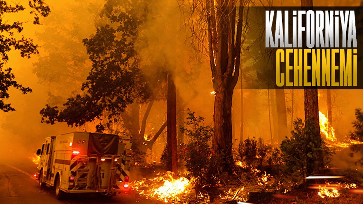 Kaliforniya’da orman yangını: Acil durum ilan edildi