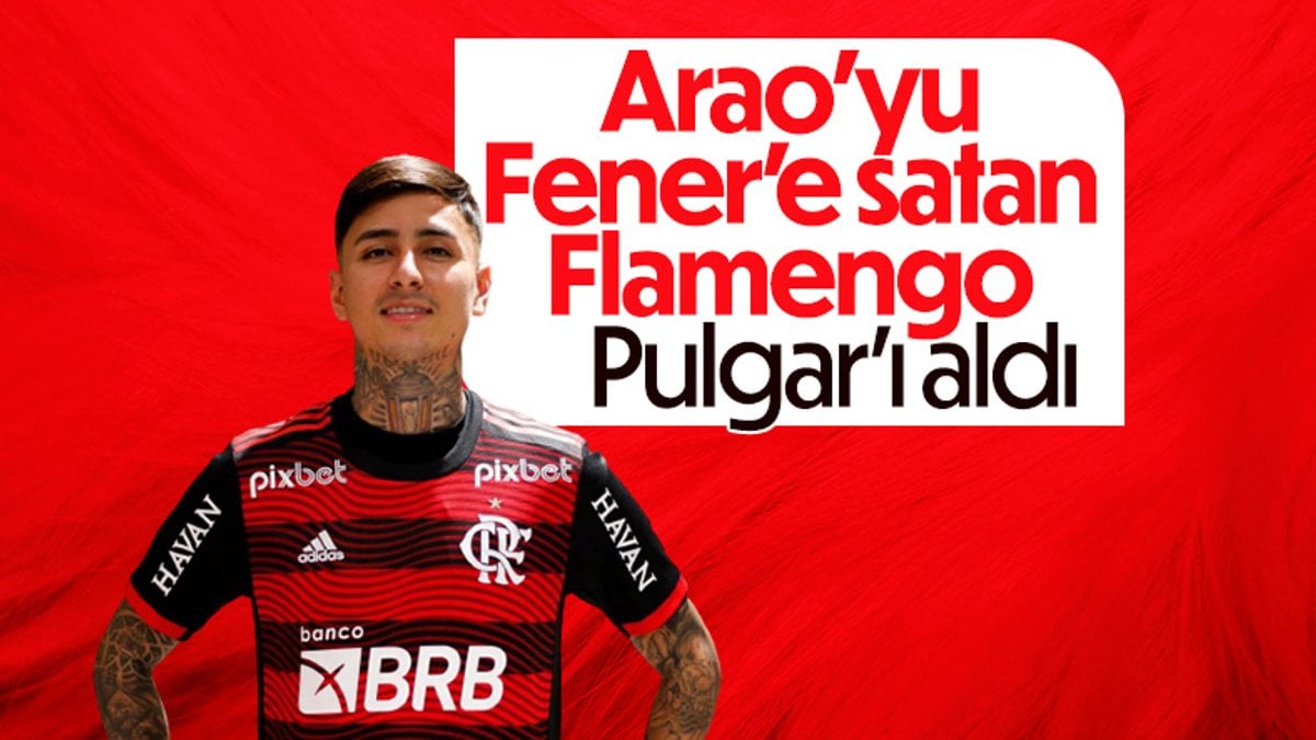 Erick Pulgar, Flamengo'da