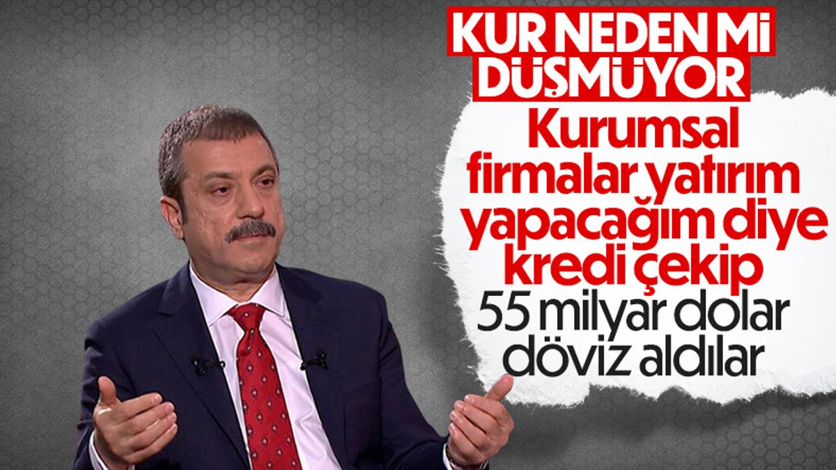 Yatırım kredisi kullanıp 55 milyar dolar döviz aldılar