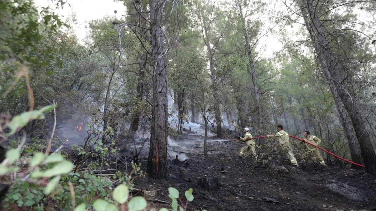 Burdur'daki orman yangını 6 saatte kontrol altına alındı