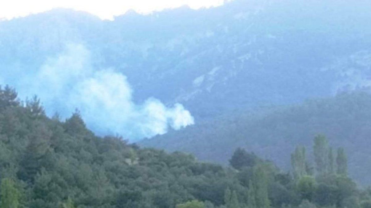 Aydın'da orman yangını