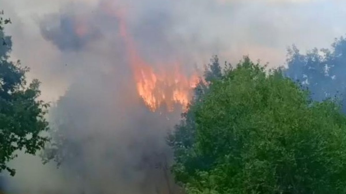 Bursa'da iki noktada orman yangını çıktı