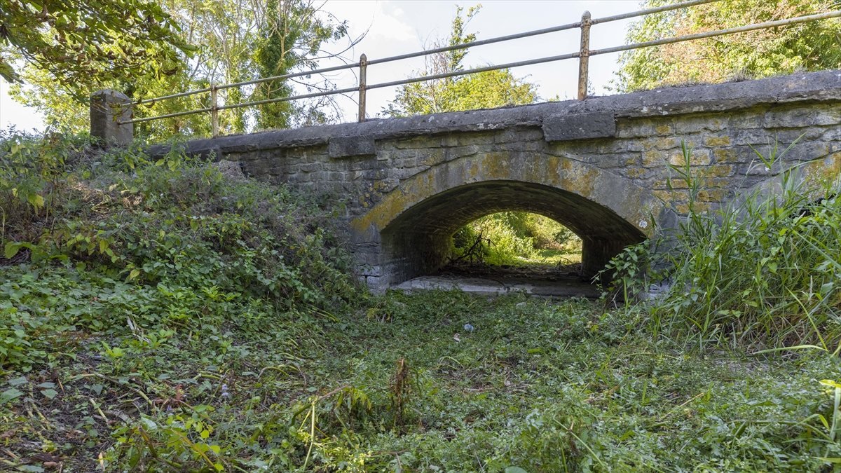 İngiltere'de Thames Nehri'nin kaynağı kuraklıktan etkilendi