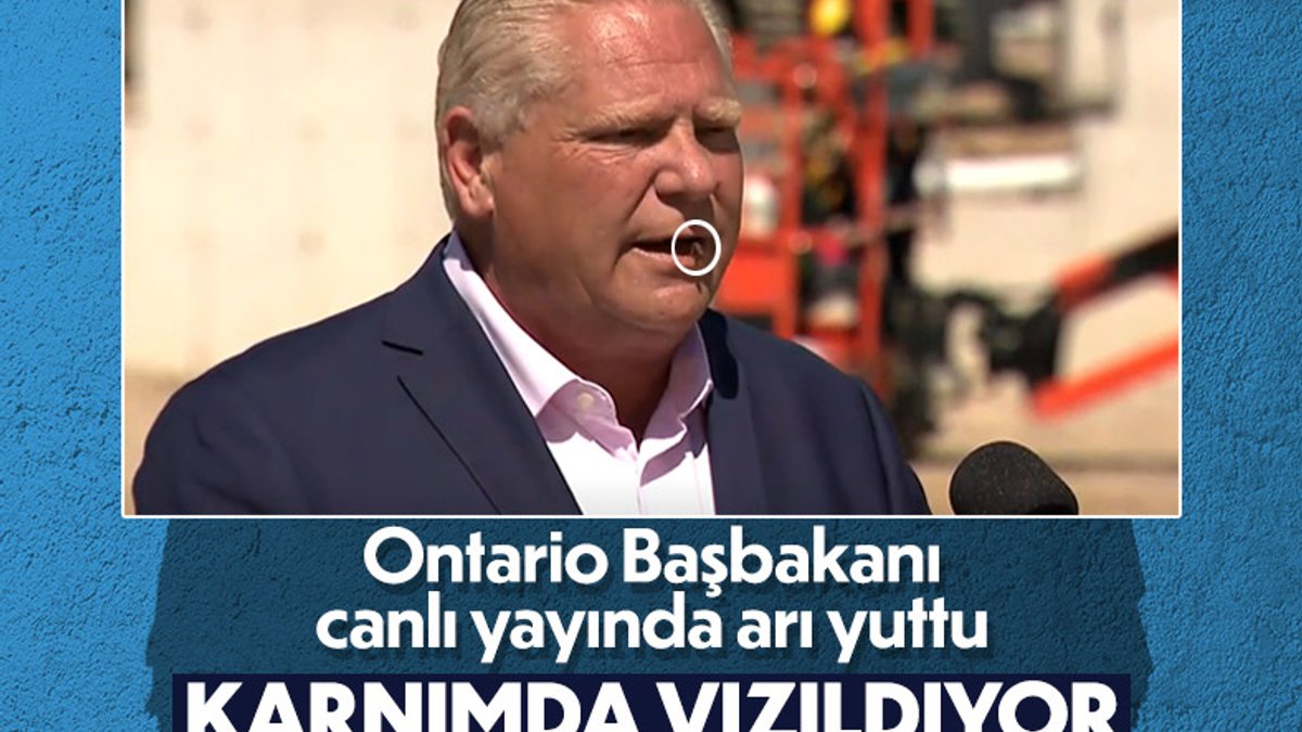 Kanada'da Ontario Başbakanı canlı yayında arı yuttu