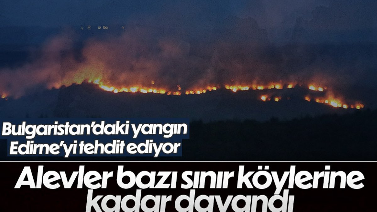 Bulgaristan'da orman yangını: Edirne'nin köylerine kadar dayandı