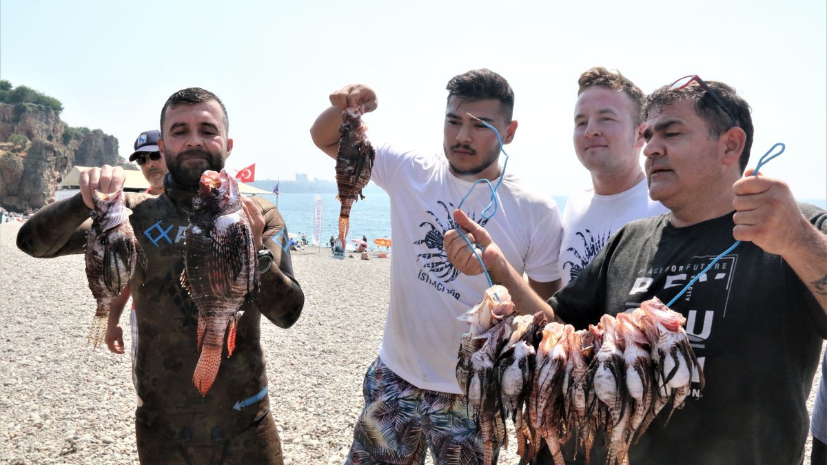 Antalya'da zehirli aslan balığı yarışması yapıldı
