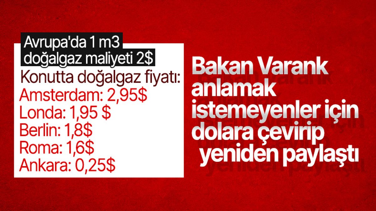 Mustafa Varank, Avrupa'da doğalgazın maliyetini dolarla paylaştı