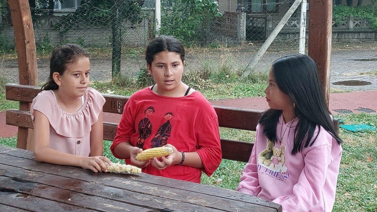 Bolu'da bahçesinden mısır alan çocukları dövdü, serbest bırakıldı