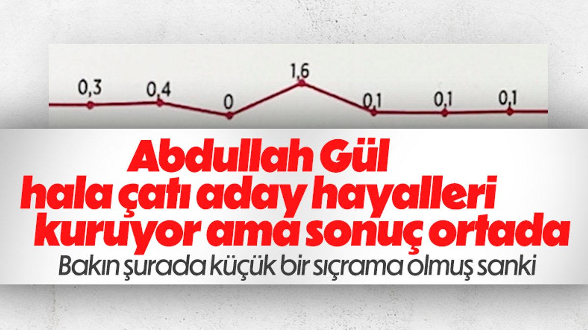 Cumhurbaşkanı adaylığı isteyen Abdullah Gül'ün anketlerdeki oy oranı