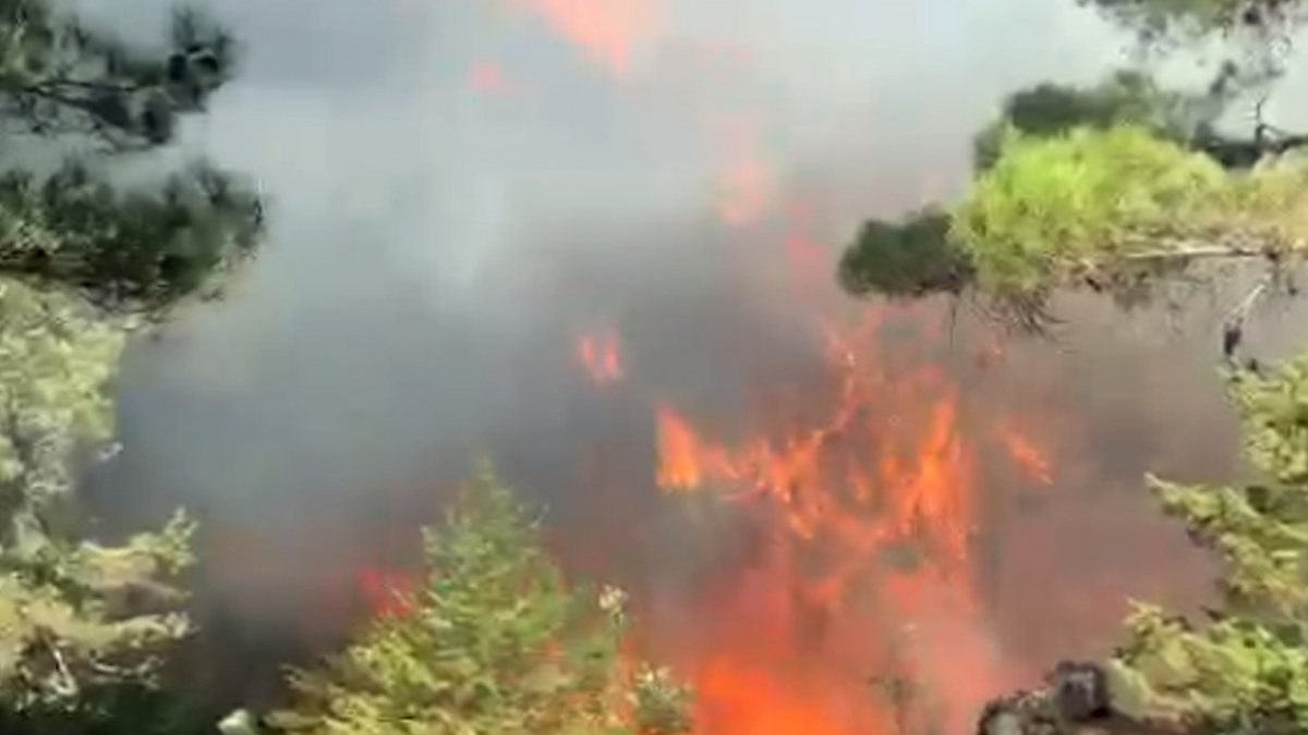 Antalya'da çıkan orman yangını, 2 saatte kontrol altına alındı