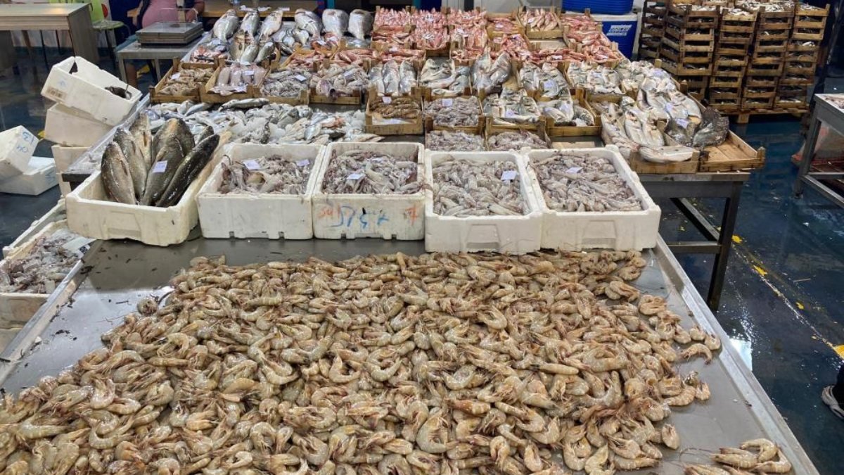İzmir'de sabah saatlerinde avdan dönen balıkçıların tezgahları balıkla doldu
