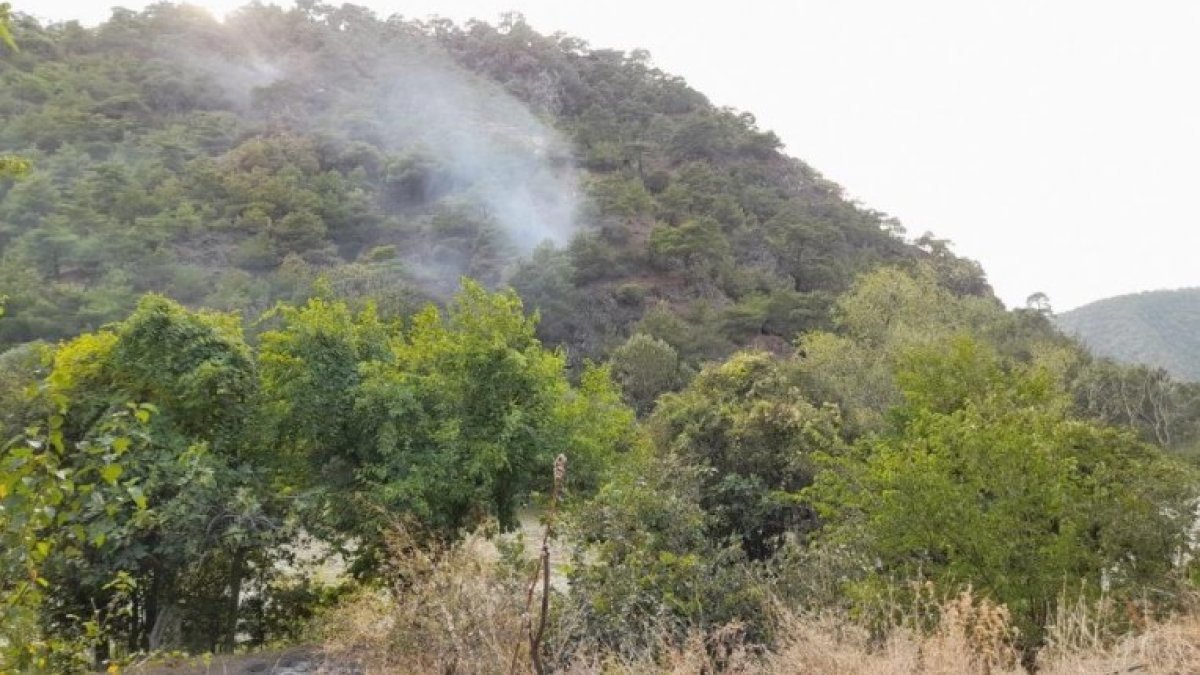 Tokat Erbaa'da orman yangını