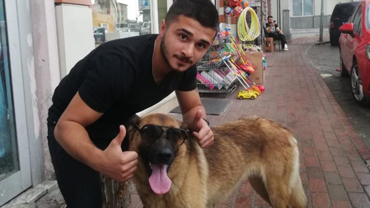 Trabzon'da, bekçiyi ısıran köpek 'saldırgan değil' raporuyla serbest bırakıldı