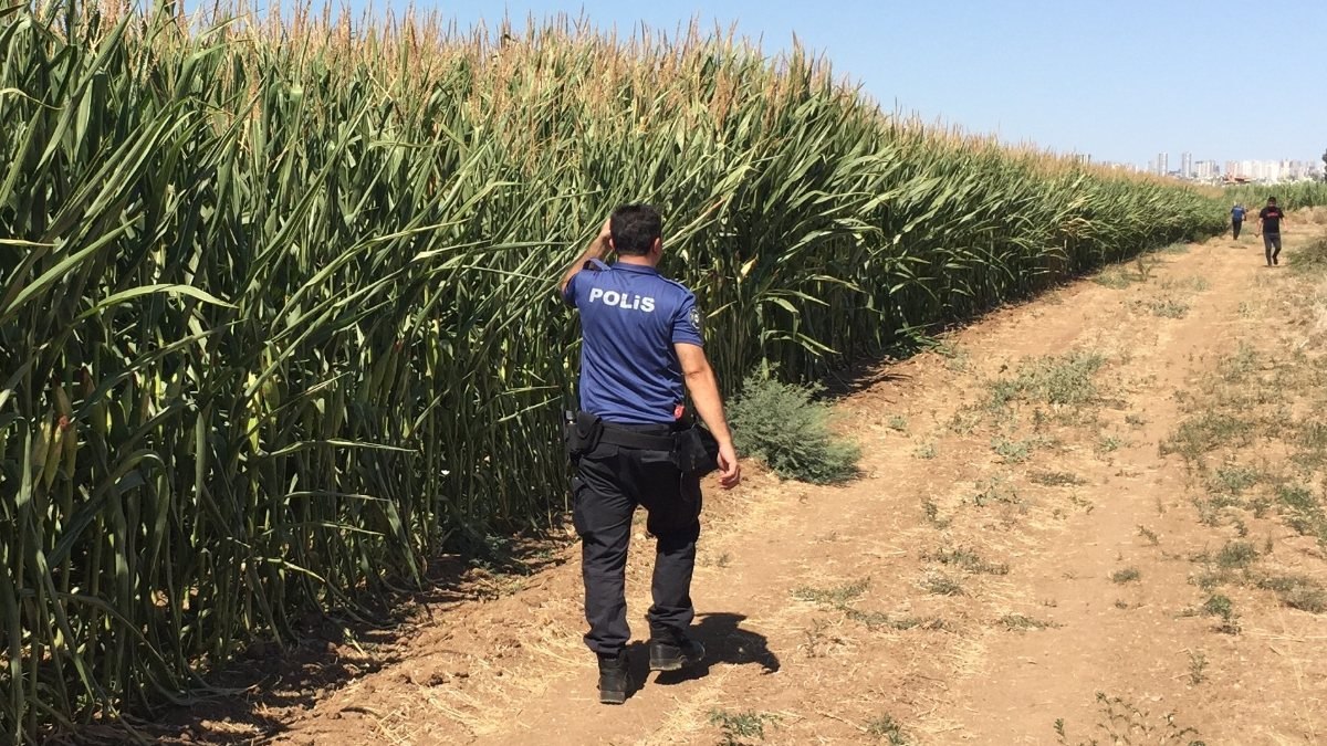 Adana'da sağlık raporuna götürülen hırsızlık zanlısı mısır tarlasına kaçtı