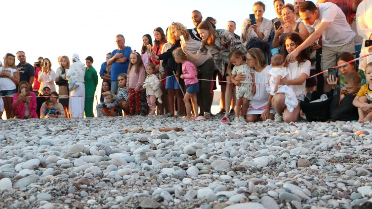 Antalya'da caretta caretta yavrularının denizle buluşma anı ilgi gördü