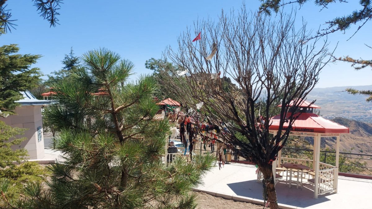 Ankara’da 2 kişi cemevinin dilek ağacı yaktı