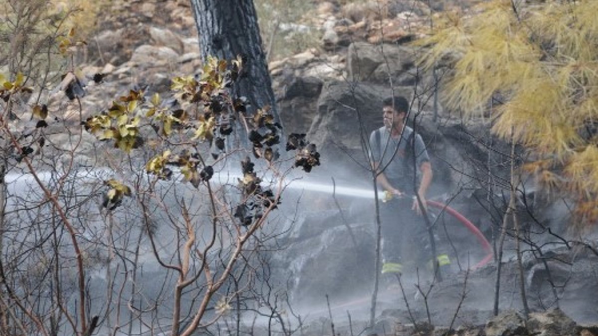 Antalya'da çıkan yangında 5 hektarlık ormanlık alan kül oldu