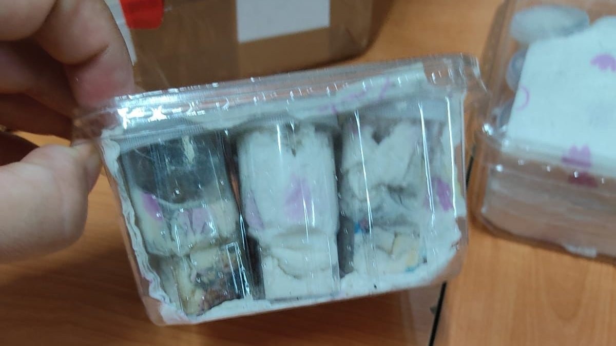 İzmir’de, posta gümrüğündeki gönderiden 26 tüp tarantula çıktı