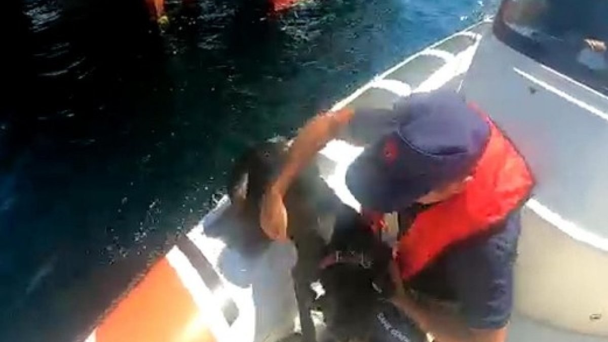Tekirdağ'da denizde kaybolan köpeği Sahil Güvenlik kurtardı
