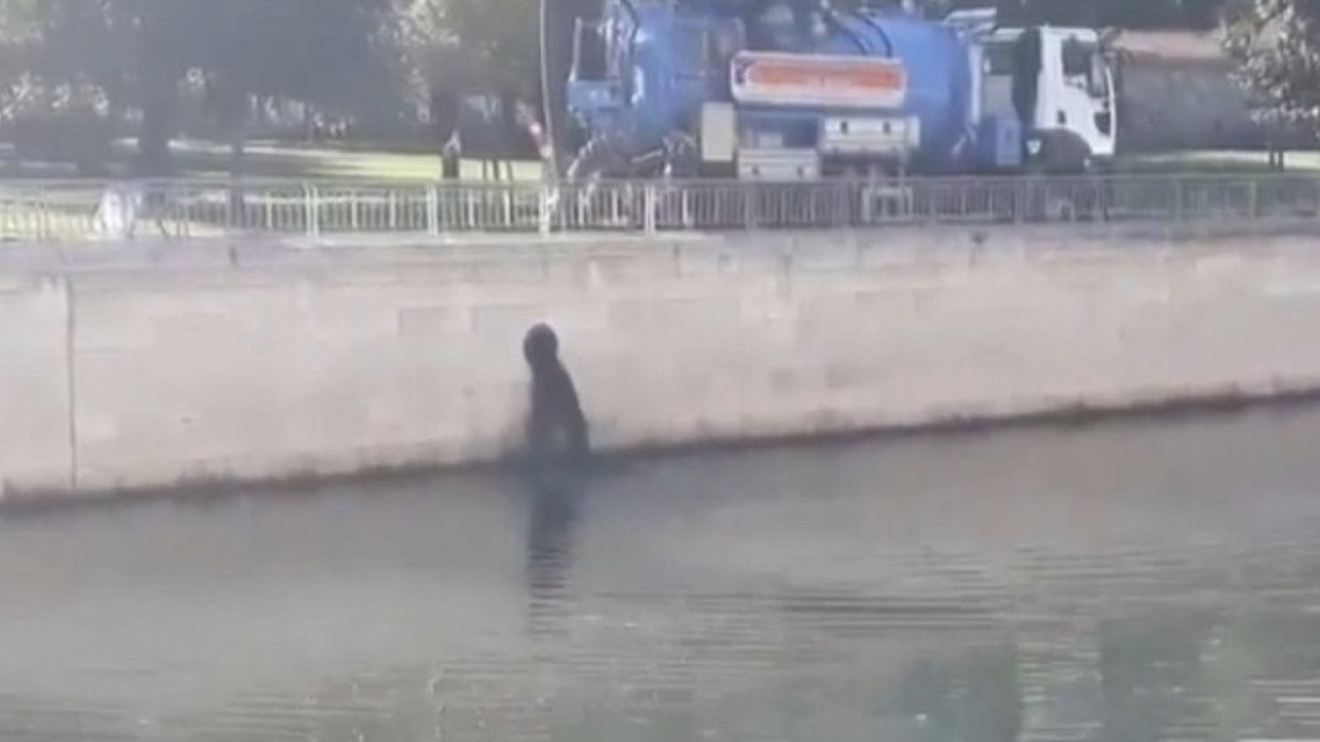 Kağıthane deresindeki kirlilik 20 kat fazla çıktı