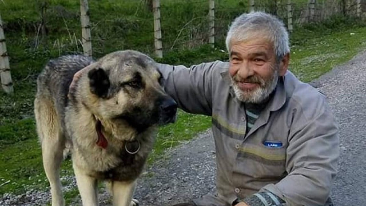 Zonguldak’ta ineğinin ölümüne üzüldü, kalp krizi geçirdi
