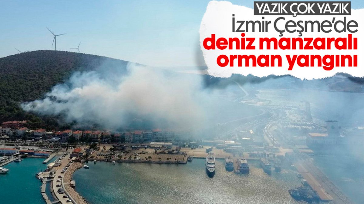 İzmir'deki orman yangınına havadan ve karadan müdahale ediliyor