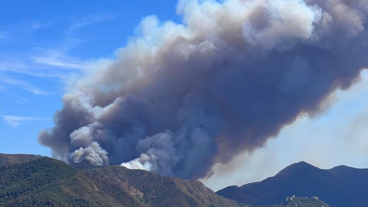 Marmaris'te orman yangınına müdahale