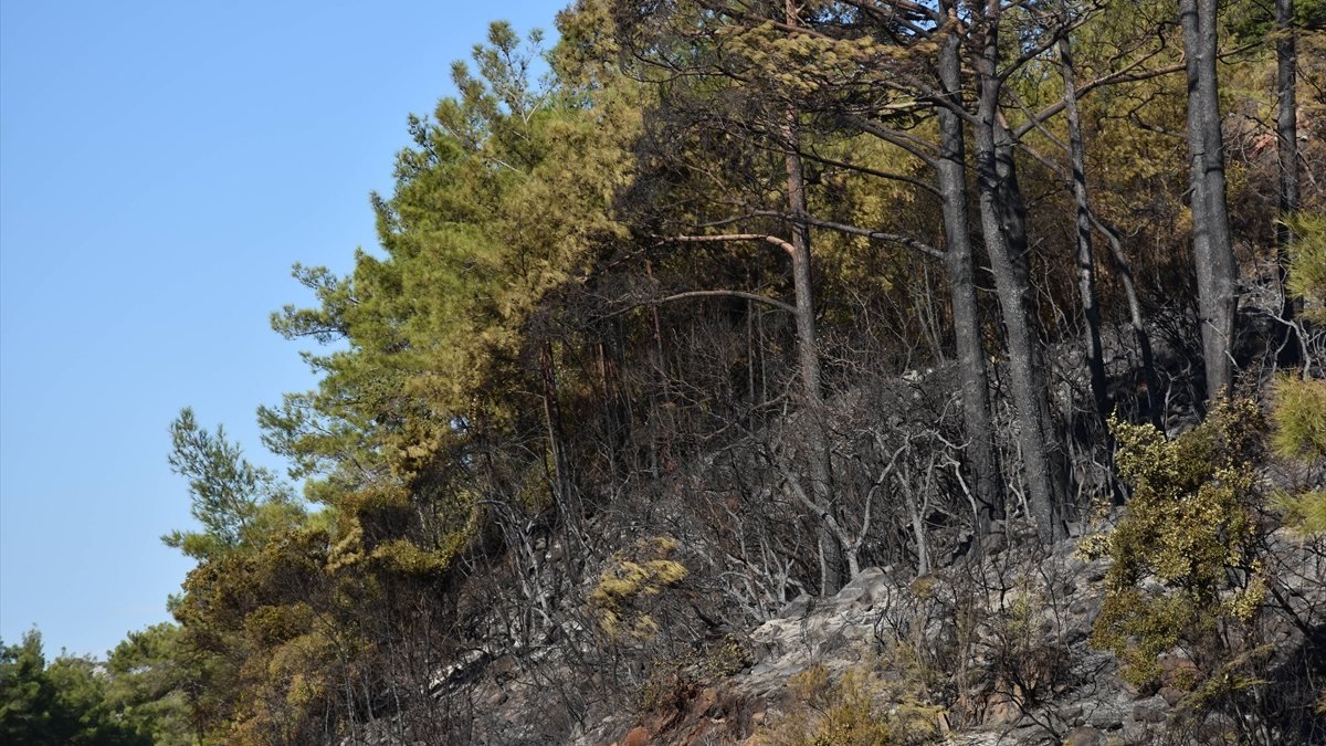 Marmaris'teki yangında 500 hektarlık alan zarar gördü