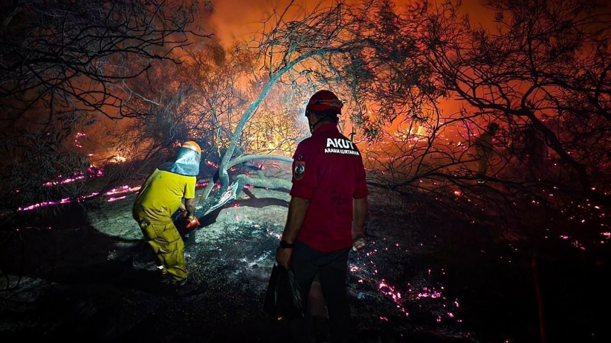 Antalya'daki yangında 15 hektar kül oldu