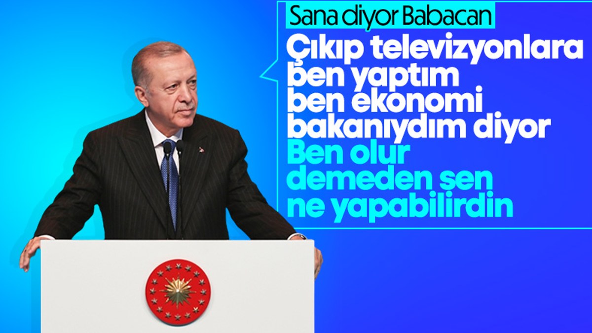 Cumhurbaşkanı Erdoğan, Ali Babacan'ı eleştirdi