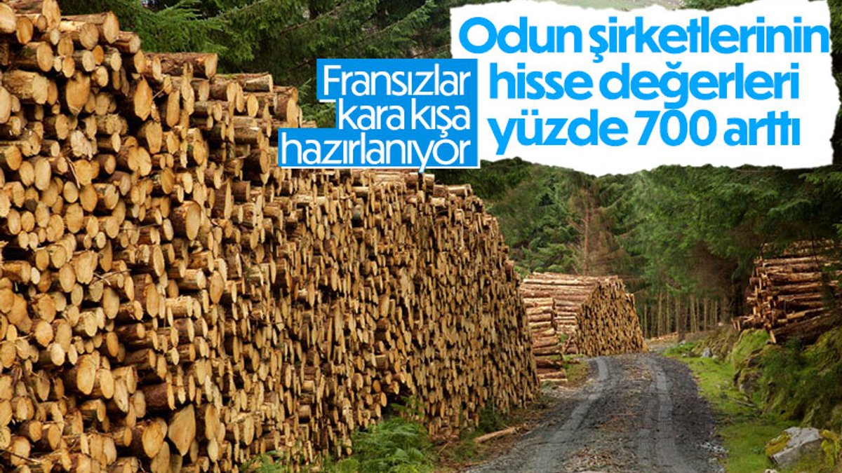 Fransa'da odun satan şirketlerin hisselerinde yüzde 700 artış